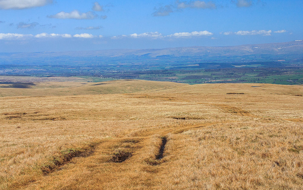 Low Kop